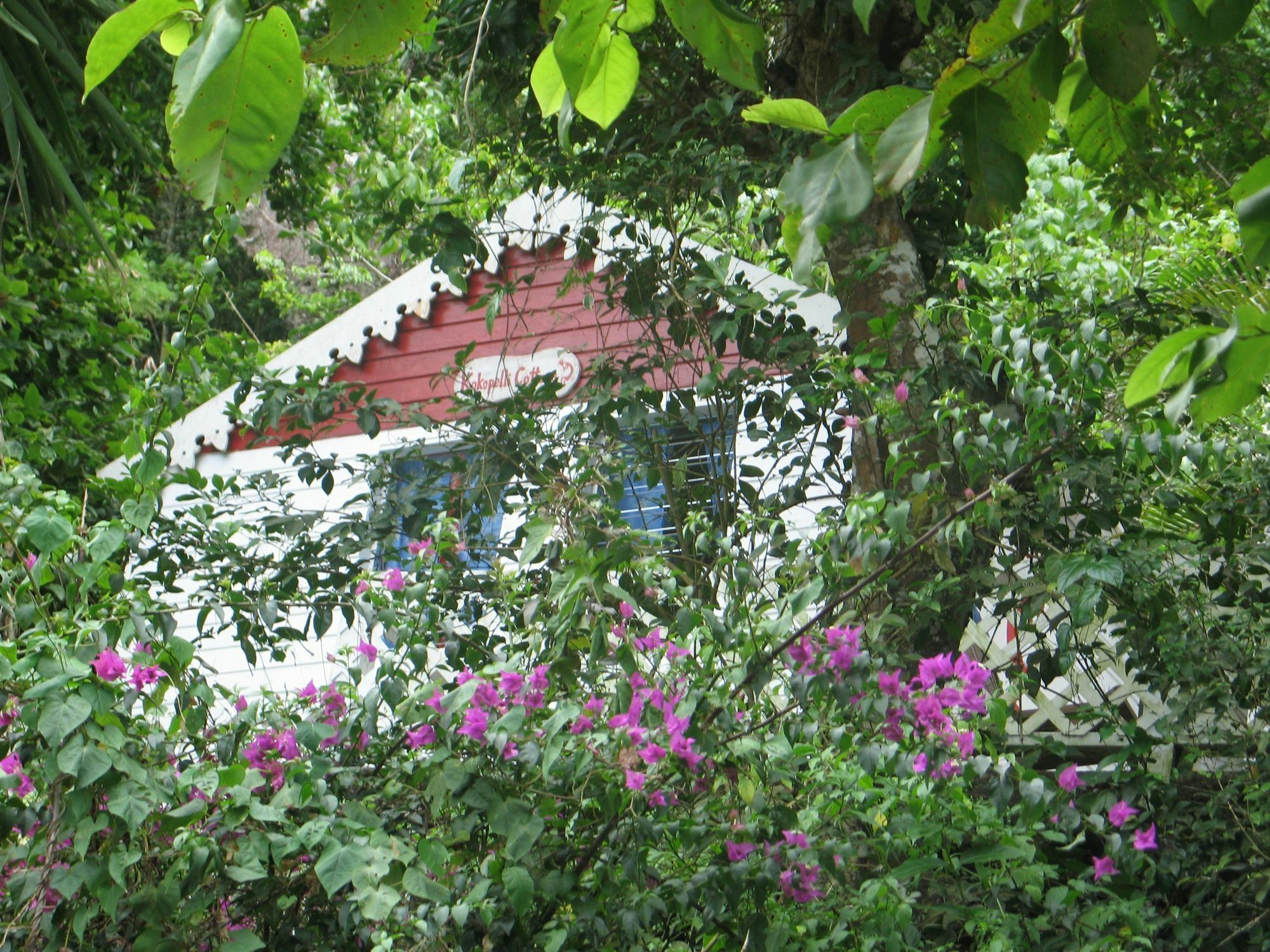 El Momo Cottages Windward Side Kültér fotó